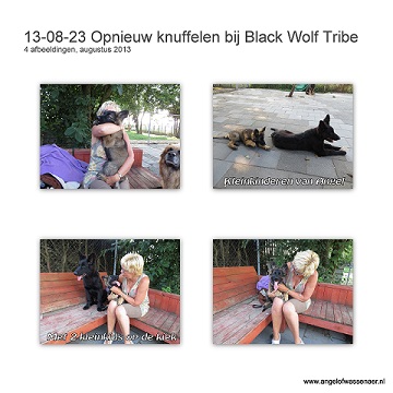 Opnieuw knuffelen bij Black Wolf Tribe